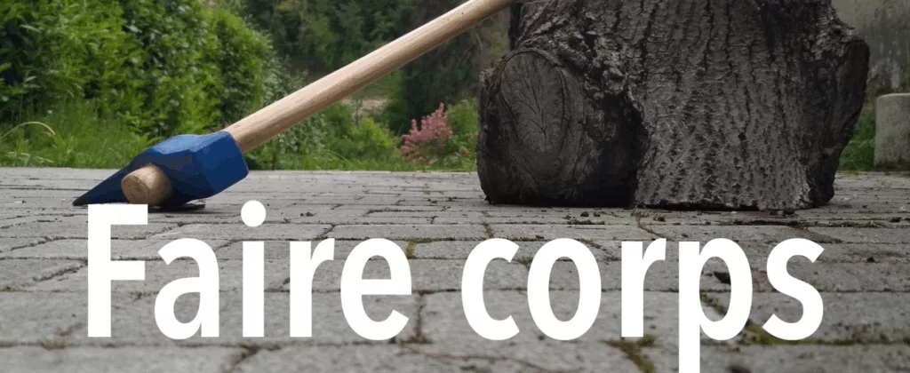 Conférence – performance FAIRE CORPS